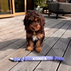 KONG Signature Crunch Rope Puppy