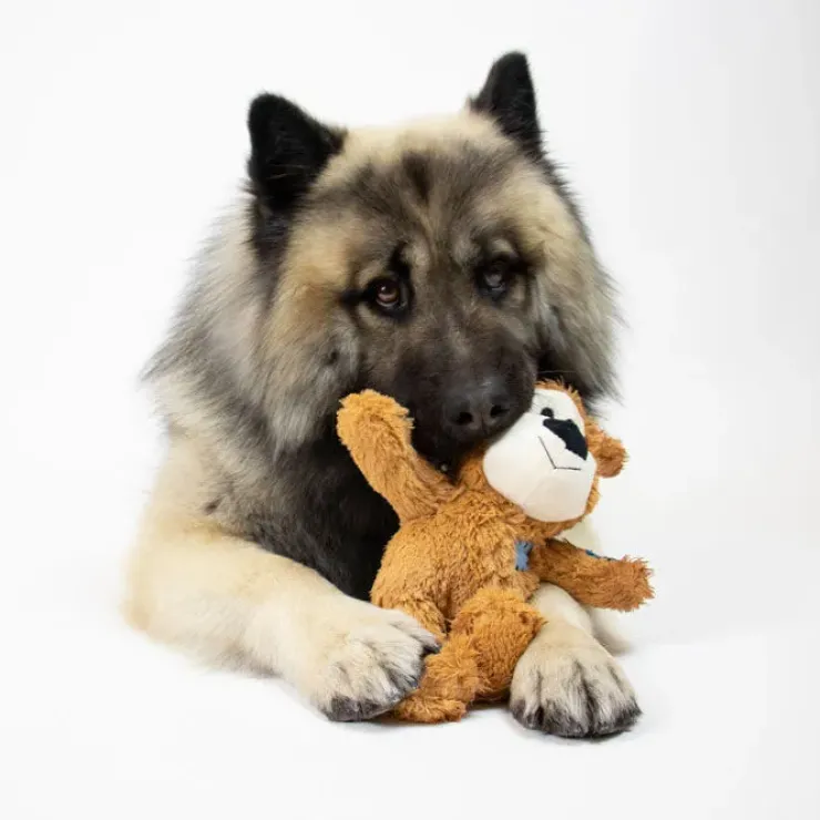 KONG Wild Knots Bears | Bamse med reb