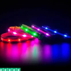 LED-hundehalsbånd | Genopladelig
