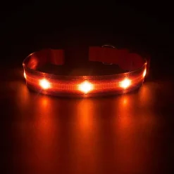 LED-hundehalsbånd | Genopladelig