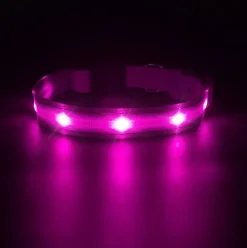 LED-hundehalsbånd | Genopladelig