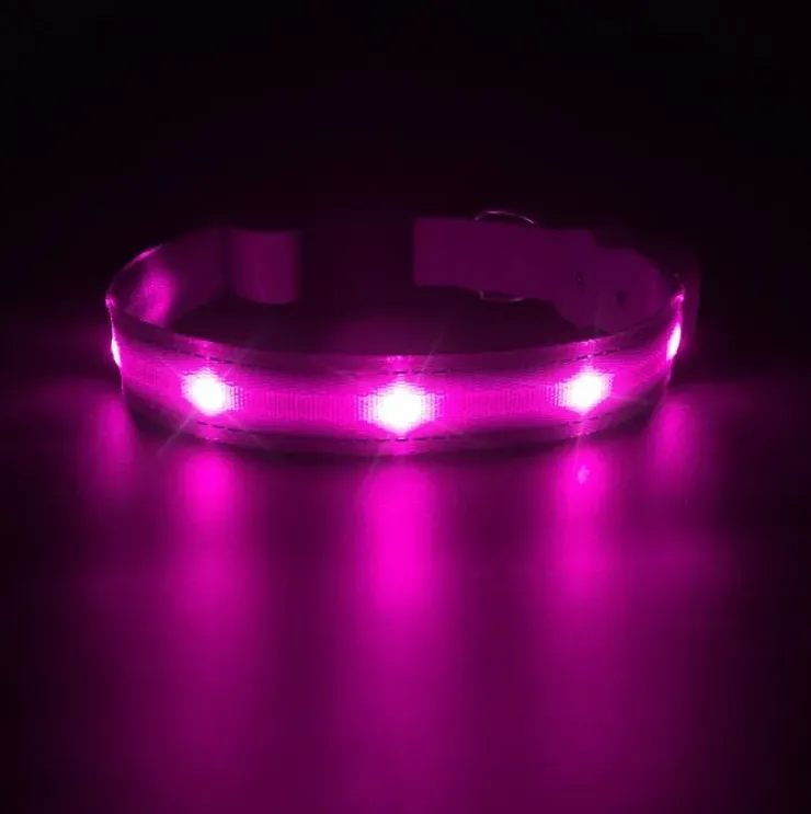 LED-hundehalsbånd | Genopladelig