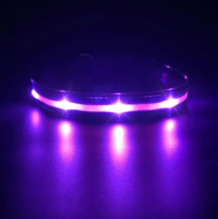 LED-hundehalsbånd | Genopladelig