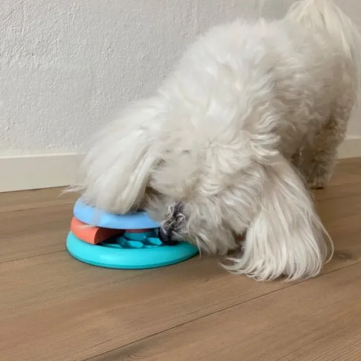 Lickin Layers Puppy