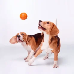 Liker Orange Ball