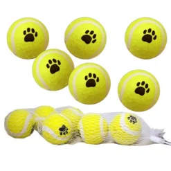 Mini tennisbolde | Net med 6 stk.