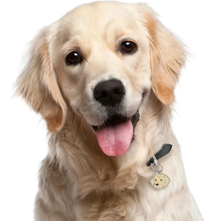 My Family | Hundetegn Golden Retriever/Doodle
