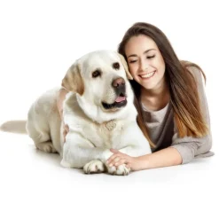 My Family | Hundetegn Labrador