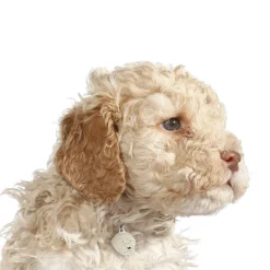 My Family | Hundetegn Lagotto