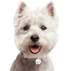 My Family | Hundetegn West Highland White Terrier