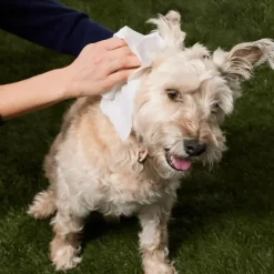 Natural Dog Company Grooming Wipes | 50 stk