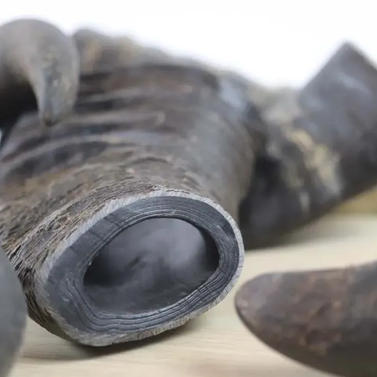 NATURBENBuffalo Horn