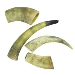 NATURBEN Cattle Horn