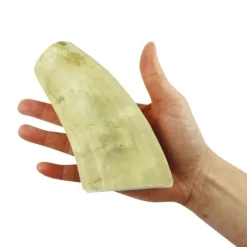 NATURBEN Cattle Horn
