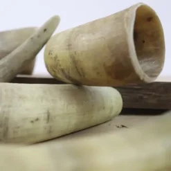 NATURBEN Cattle Horn