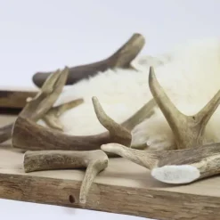 NATURBEN Dådyrgevir