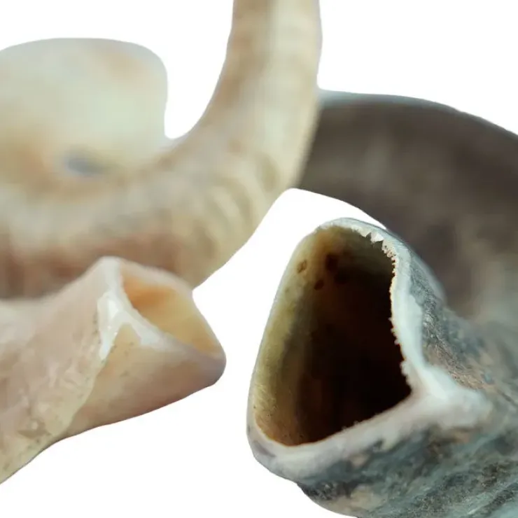 NATURBEN Lammehorn