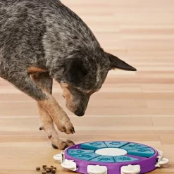 Nina Ottosson Dog Twister | niveau 3