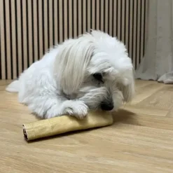 Njord Pet Okserulle