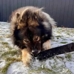 Njord Pet Oksestrimler |1 stk