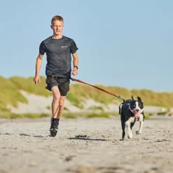Non-Stop Dogwear Bungee Leash 2.0 | OUTLET