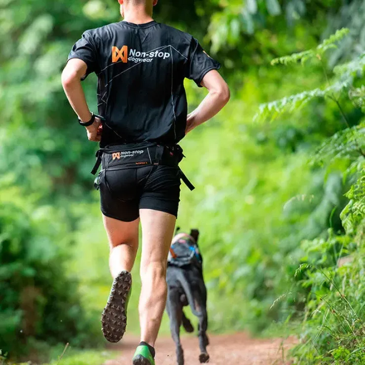 Non-Stop Dogwear CaniX Belt | OUTLET