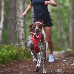 Non-Stop Dogwear Freemotion Harness 5.0 Pink | OUTLET