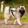 Non-Stop Dogwear Freemotion Harness | OUTLET