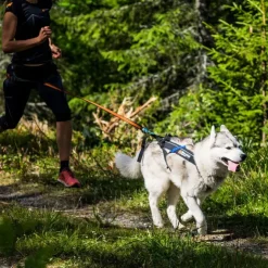Non-Stop Dogwear Freemotion Harness | OUTLET