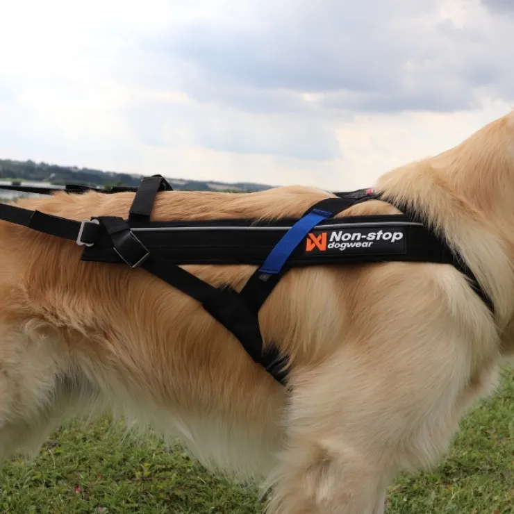 Non-Stop Dogwear Freemotion Harness | OUTLET
