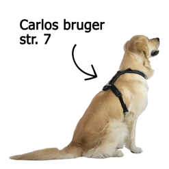 Non-Stop Dogwear Line Harness 5.0 | OUTLET