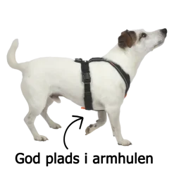 Non-Stop Dogwear Line Harness 5.0 | OUTLET