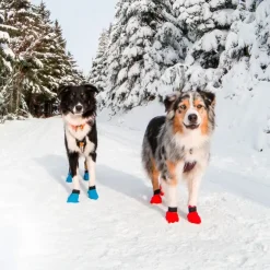 Non-Stop dogwear Long Distance bootie 4pk | OUTLET