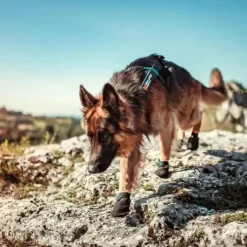 Non-Stop dogwear protector bootie | 4 stk | OUTLET