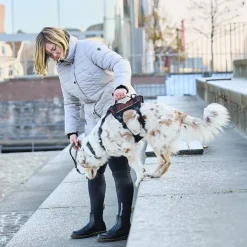 Non-Stop Dogwear Rock Harness Long | OUTLET