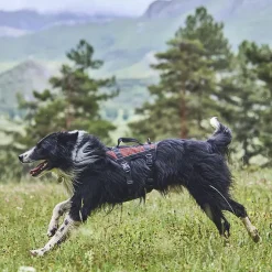 Non-Stop Dogwear Rock Harness Long | OUTLET