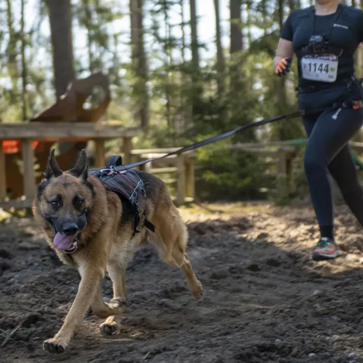 Non-Stop Dogwear Rock Harness Long | OUTLET