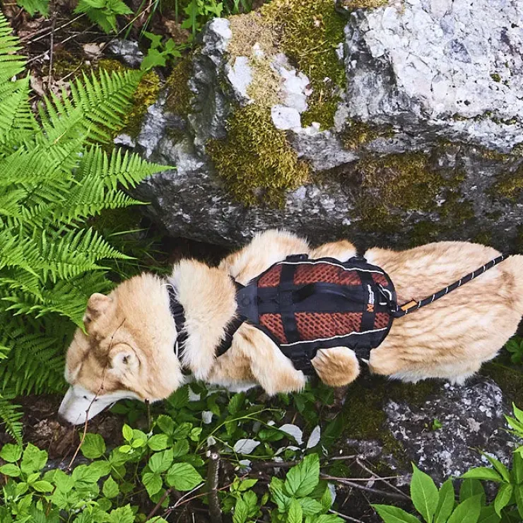 Non-Stop Dogwear Rock Harness Long | OUTLET