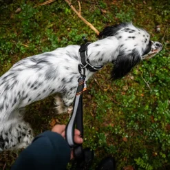 Non-stop dogwear Touring Bungee Adjustable | OUTLET