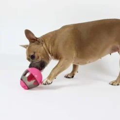 Nordic Paws Aktivitetsæg