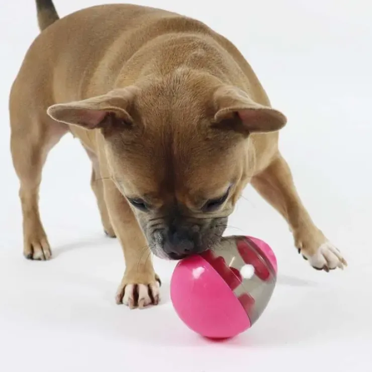 Nordic Paws Aktivitetsæg