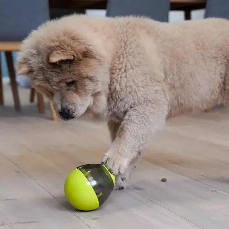 Nordic Paws Aktivitetsæg