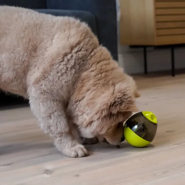 Nordic Paws Aktivitetsæg