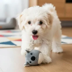 Nordic Paws Flompie Koala