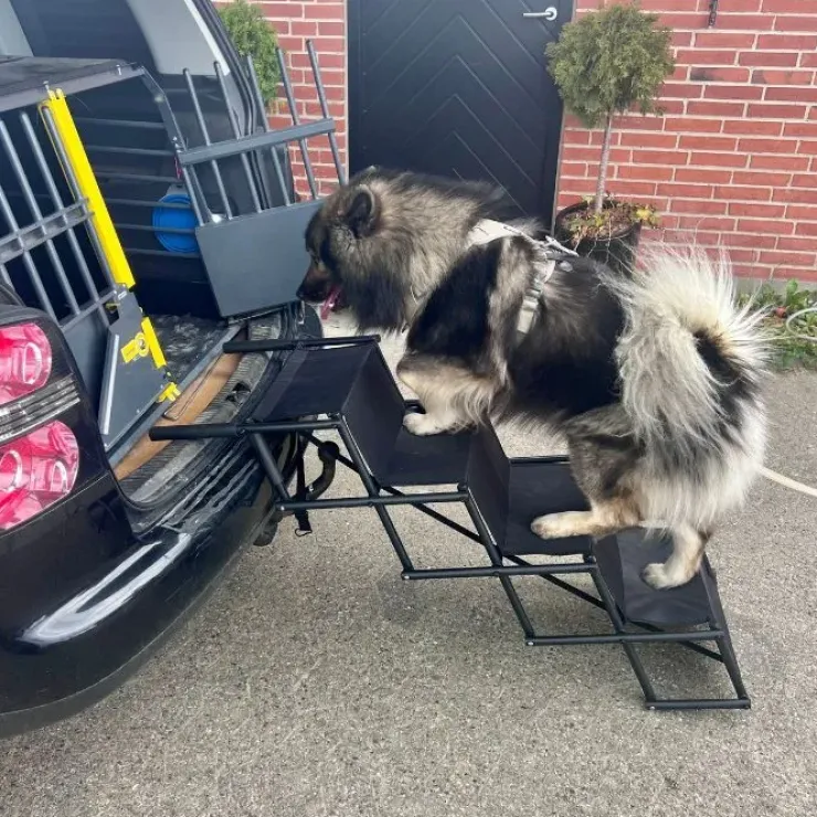 Nordic Paws Foldbar Hundetrappe