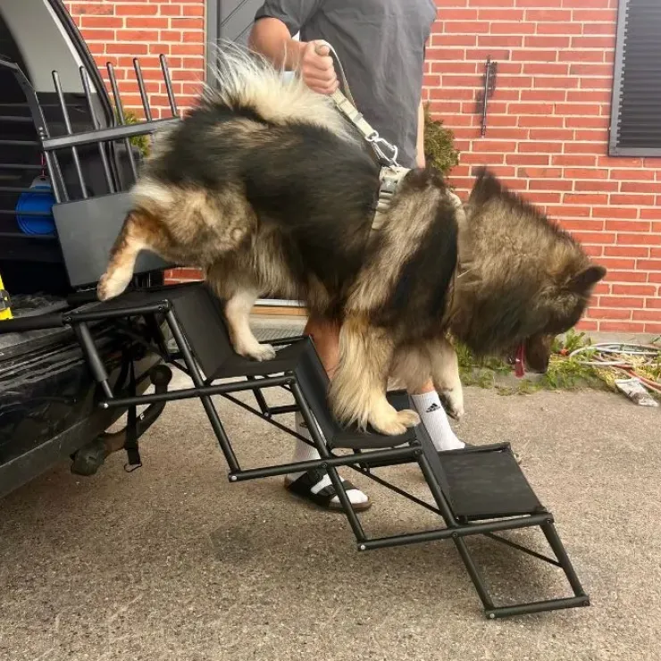 Nordic Paws Foldbar Hundetrappe