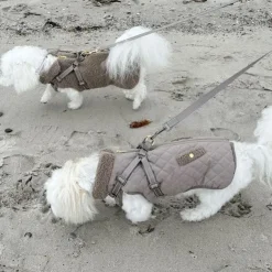 Ollipet Aarhus Hundejakke