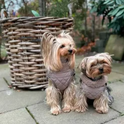 Ollipet Aarhus Hundejakke