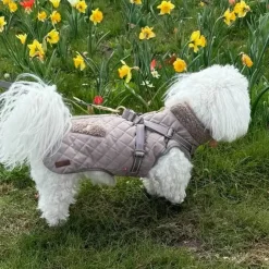 Ollipet Aarhus Hundejakke
