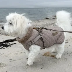 Ollipet Aarhus Hundejakke